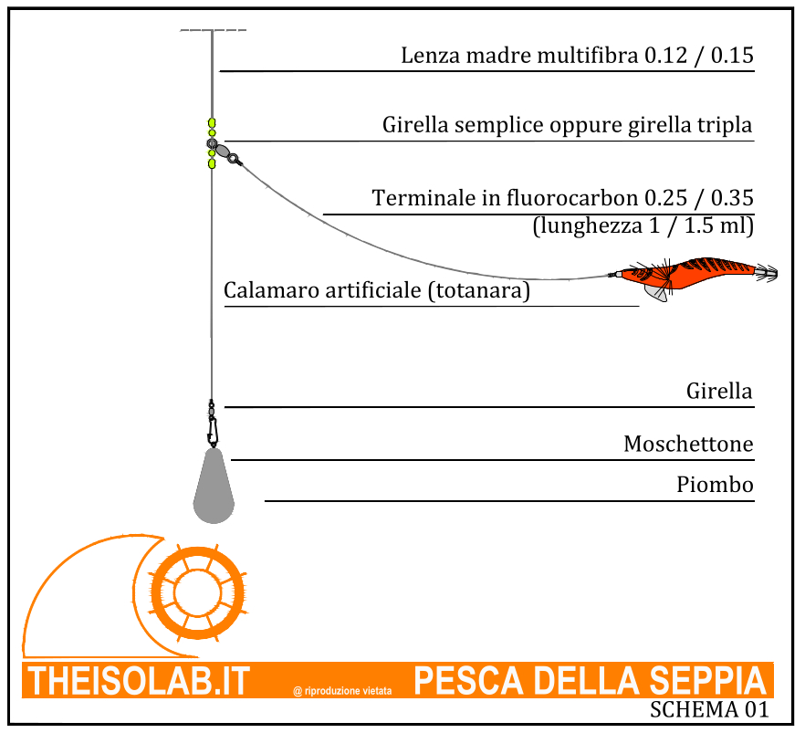 Terminale pesca della seppia con totanara