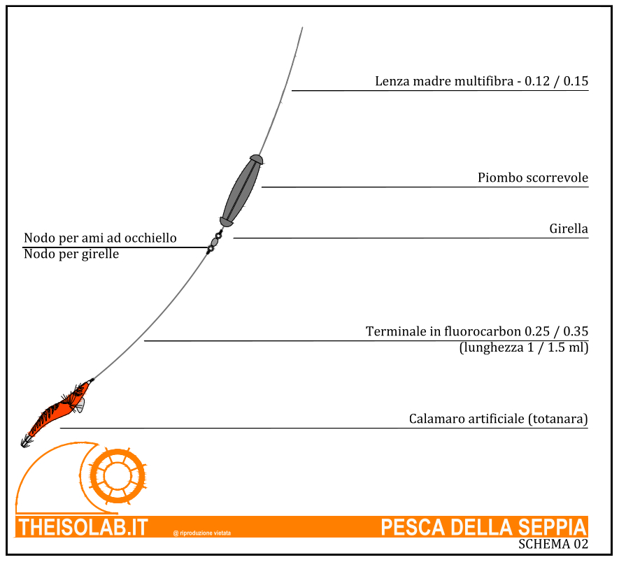 Terminale pesca della seppia con piombo scorrevole