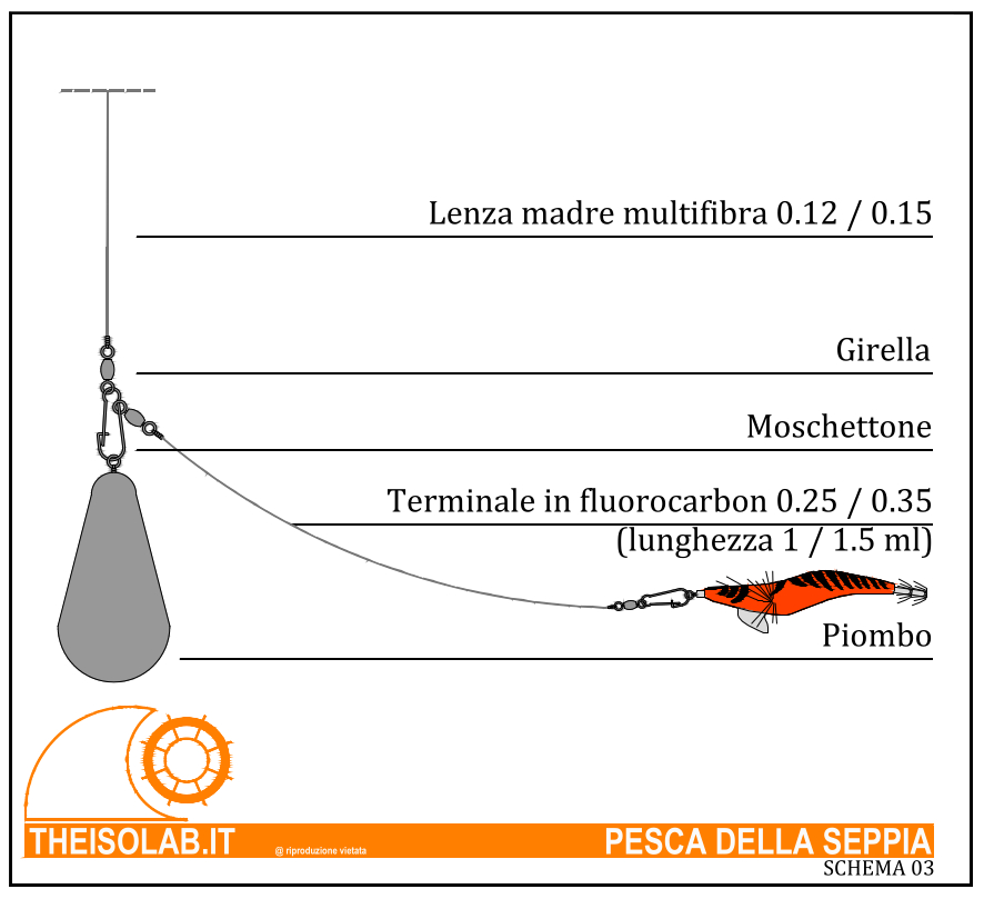 Terminale pesca della seppia con piombo fisso