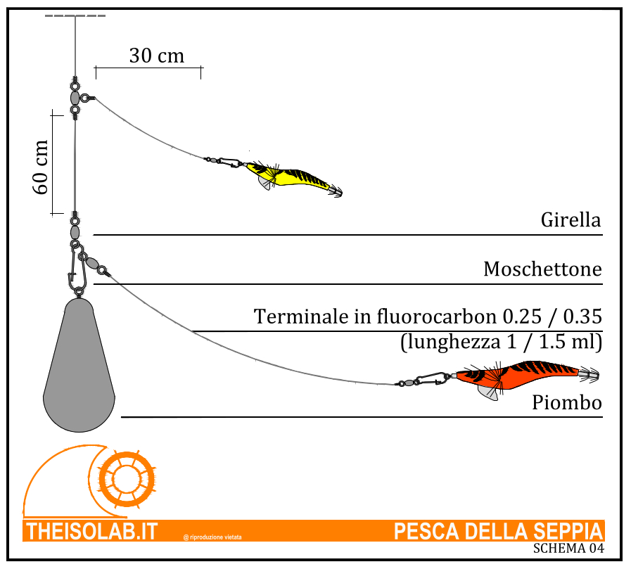 Terminale pesca della seppia con 2 totanare