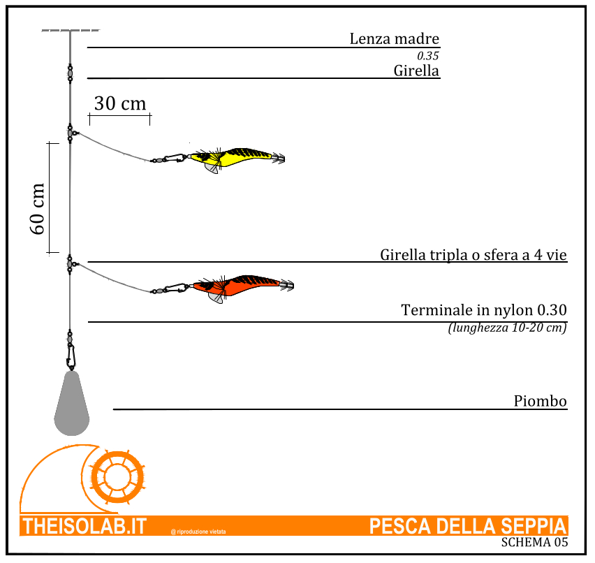 Terminale pesca della seppia