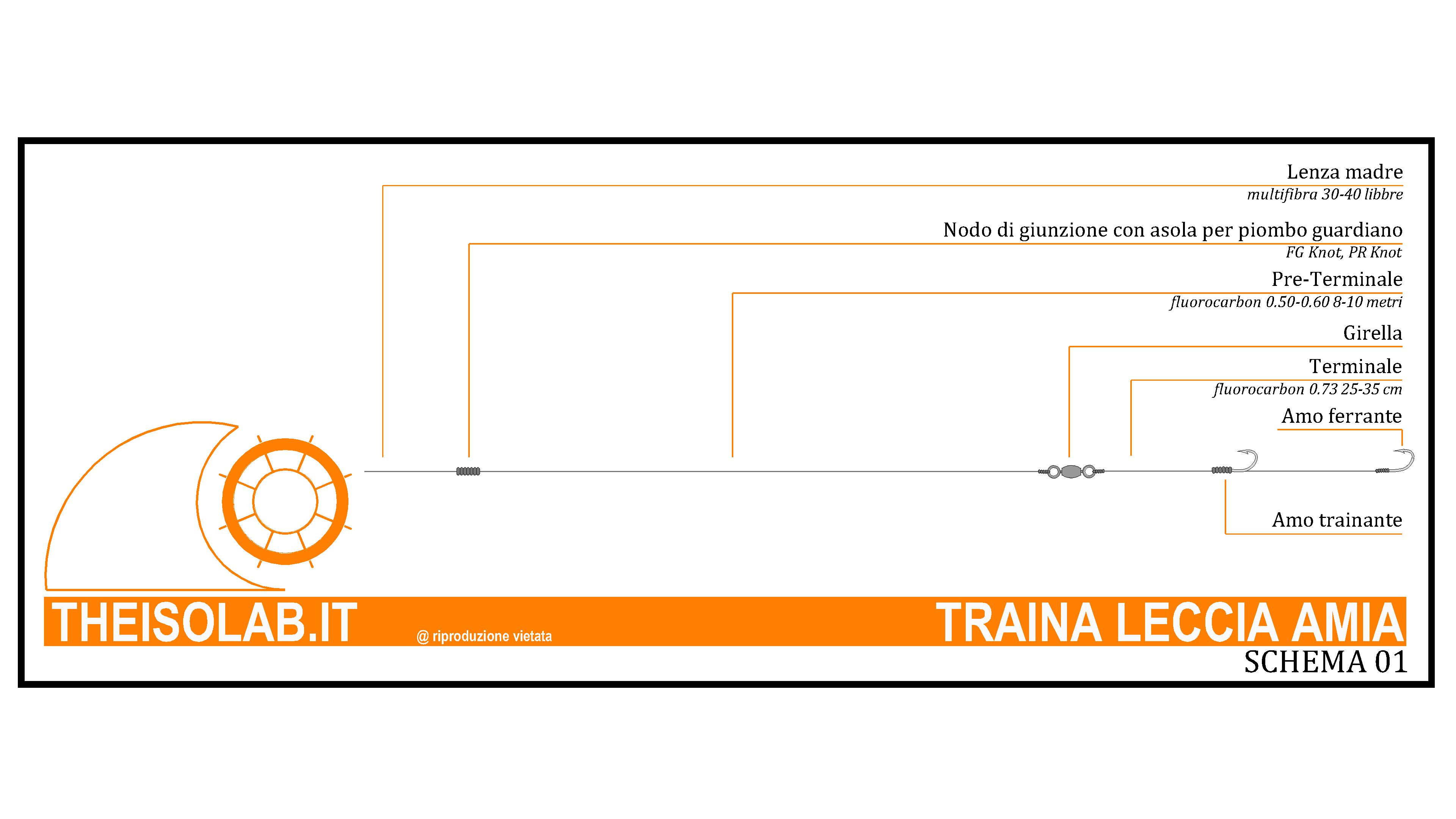 Traina alla Leccia Amia con amo ferrante e trainante Traina alla Leccia Amia