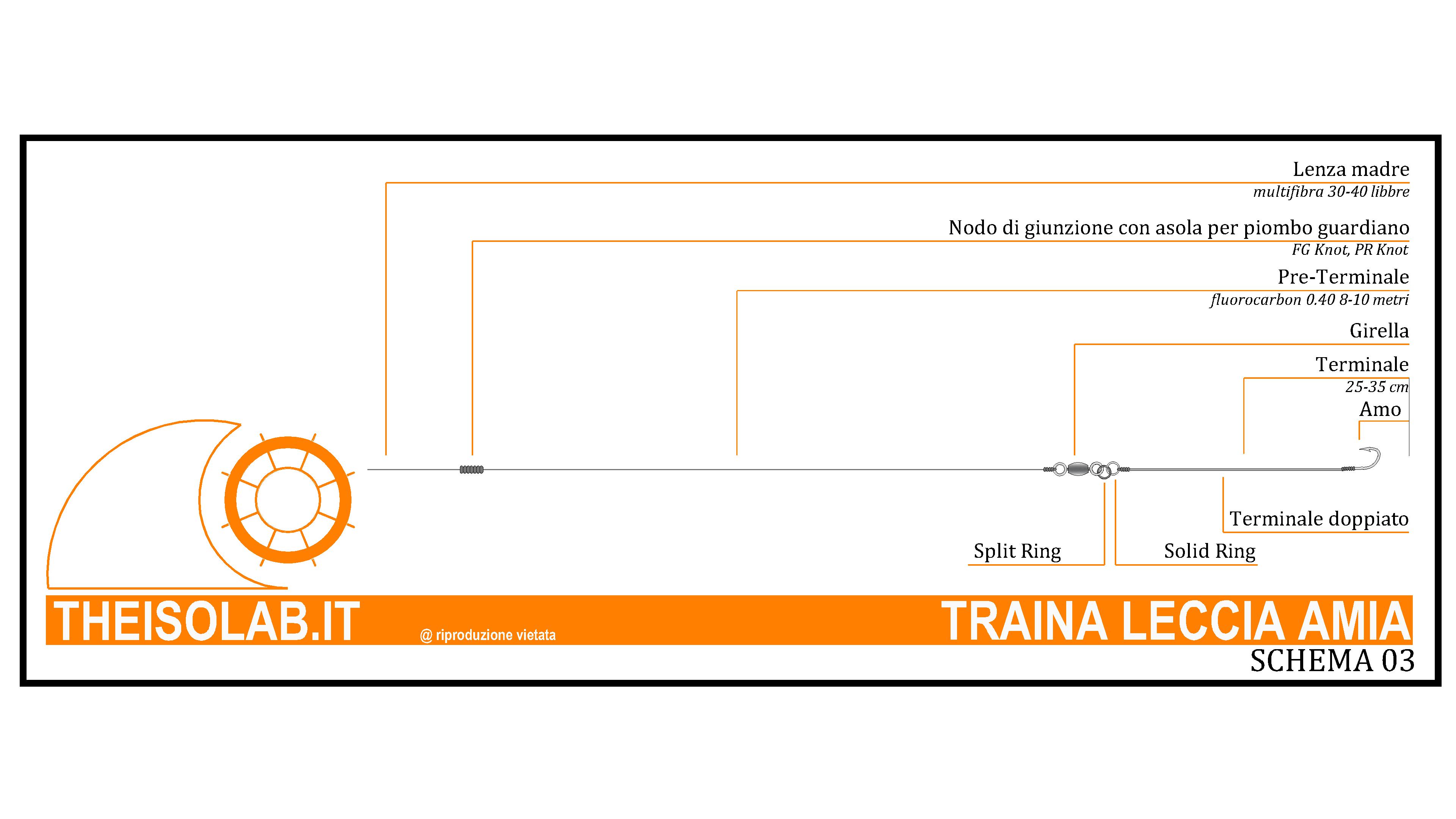 Traina alla Leccia Amia con raddoppio del terminale Traina alla Leccia Amia