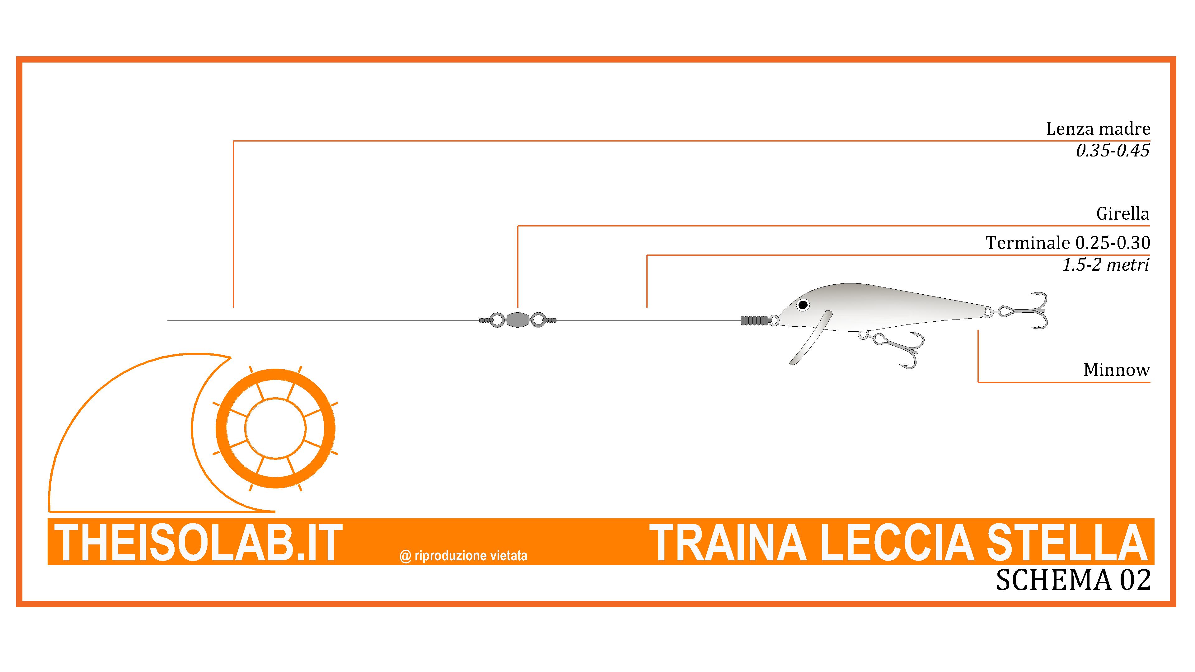 Traina Leccia Stella - Terminale con minnow Traina Leccia Stella - Terminale con minnow