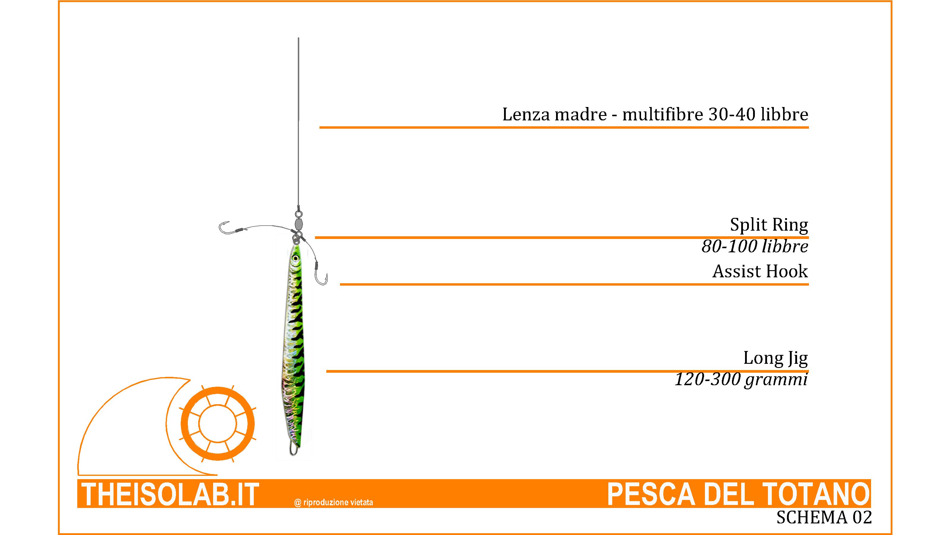 Pesca del totano - Schema terminale 02