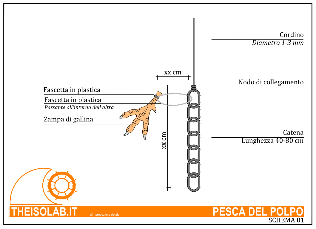 Terminale per la pesca del polpo