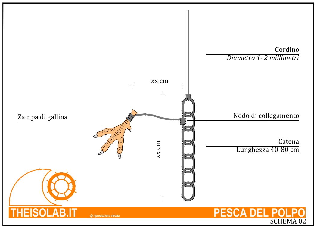 Terminale per la pesca del polpo