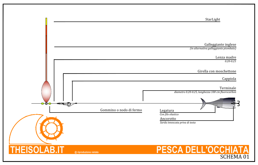 terminale pesca dell'occhiata con galleggiante all'inglese
