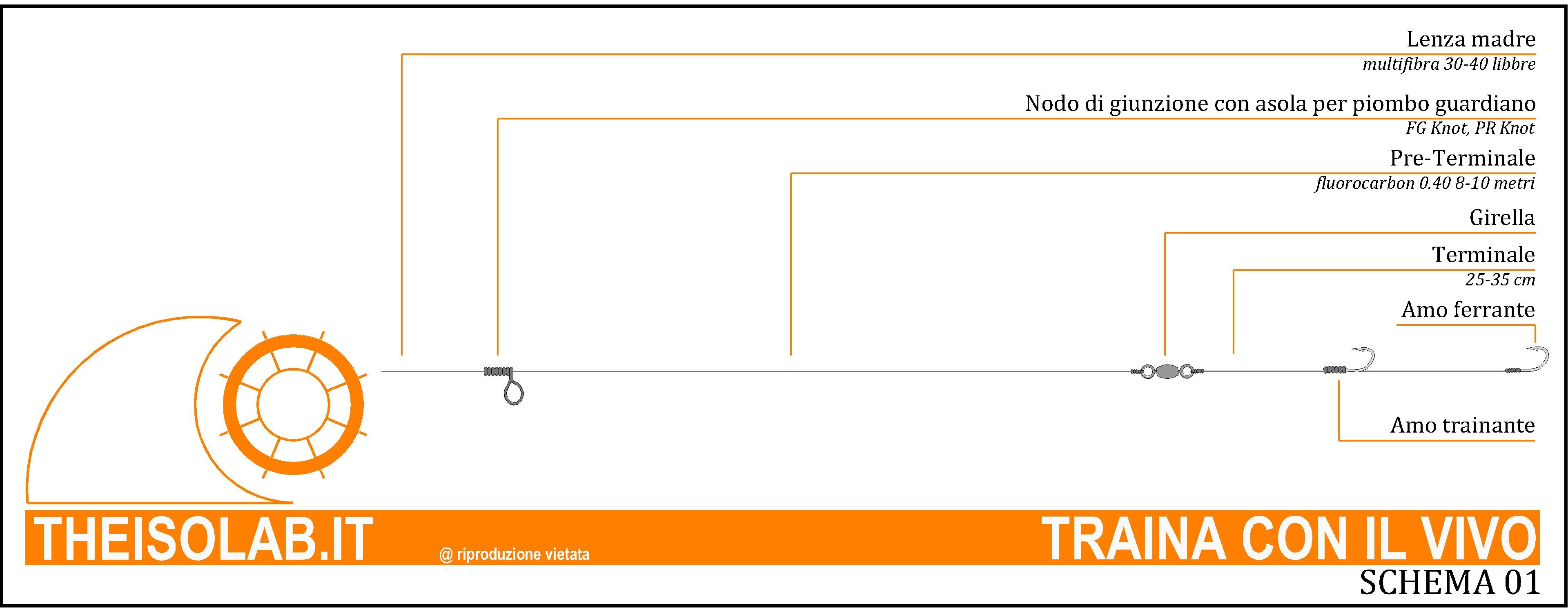 TRAINA CON IL VIVO - TERMINALE TRAINA CON IL VIVO - TERMINALE