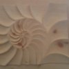 Nautilus. Scultura su cirmolo di sezione di conchiglia