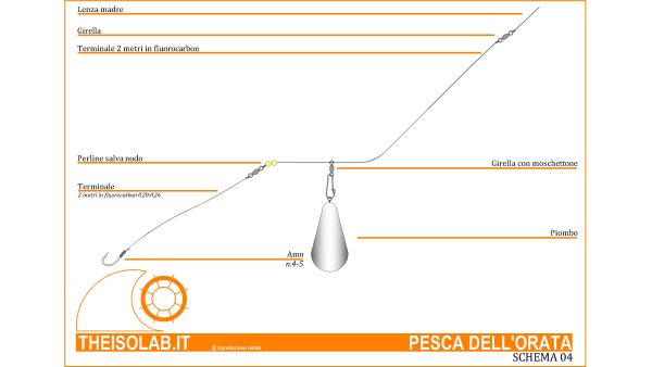 Pesca dell'orata Terminale con piombo scorrevole Pesca dell'orata Terminale con piombo scorrevole