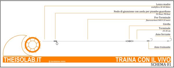 TRAINA CON IL VIVO - TERMINALE TRAINA CON IL VIVO - TERMINALE